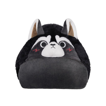   OLAOLA Raccoon Air Conditioning Blanket Animals Onesie Plush Warm Home One Piece For Adult Unisex